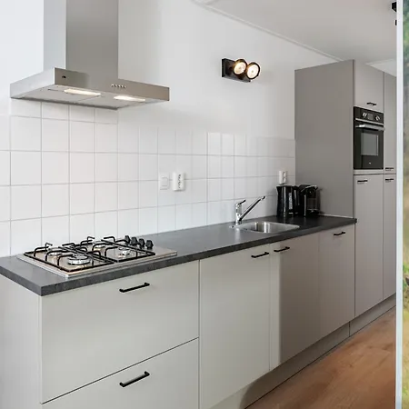 Modern With Sauna, On A In A Environment *